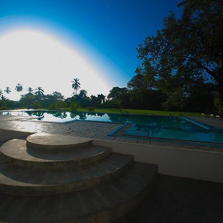 Birdsong Leisure Resort Tissamaharama Ngoại thất bức ảnh